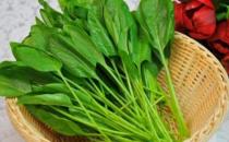 吃什么能增強免疫力？紫薯增加免疫