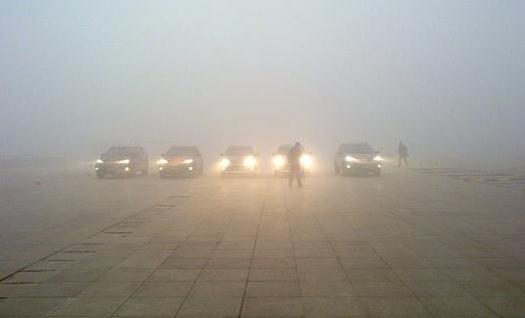 霧霾天吃什么食物有利于健康？