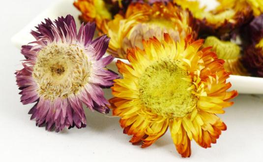 菊花美容養顏-菊花怎么吃最好?