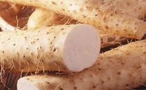 秋季餐桌上必不可少營養食物大盤點