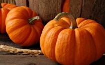 秋季減肥吃什么？木瓜銀耳燉牛奶