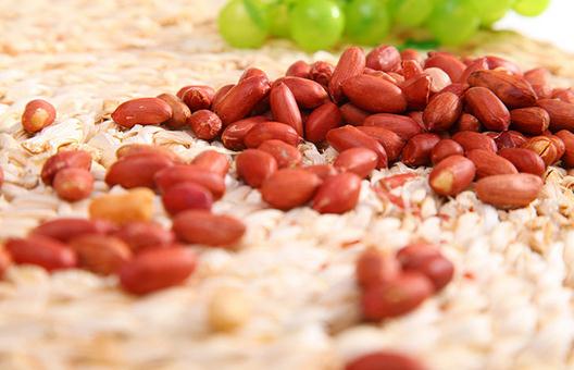 花生的紅衣有什么營養價值?