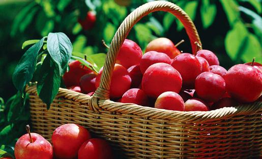 吃什么水果可以對付皮膚干燥?