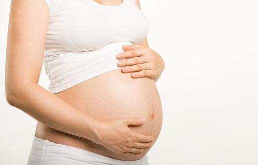 孕期美味雞湯:猴頭菇雞湯的做法