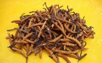 冬蟲夏草有什么功效？怎么吃效果最好？