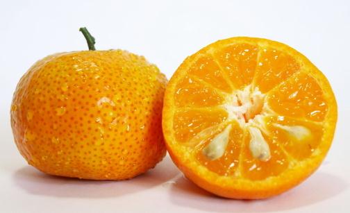 秋季吃什么水果有利于孕婦?