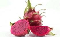 產(chǎn)婦坐月子期間能吃火龍果嗎？