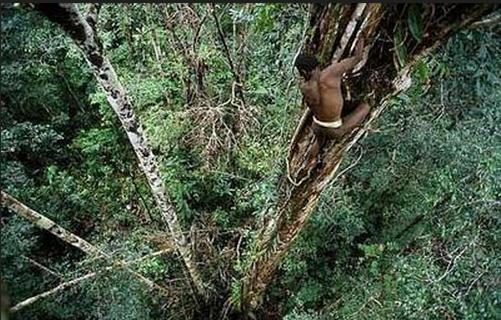 世界上,最后的石器時代