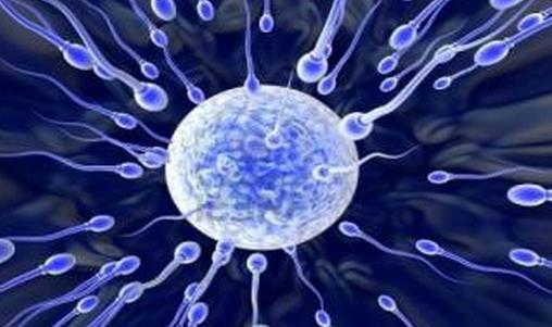 影響男性精子質(zhì)量的食物和習(xí)慣