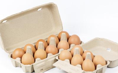 14種食物堪稱(chēng)“腦黃金”