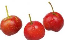 更年期男人吃什么食物養生好