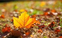 秋季糖尿病人要注意6個(gè)飲食習(xí)慣