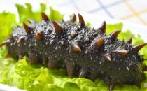 海參有什么功效？吃海參的注意事項