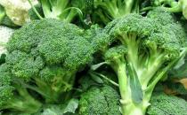 防癌明星西蘭花有什么營養價值？