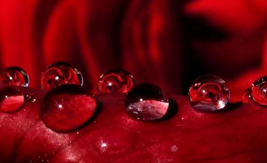 小胸MM吃什么能豐胸？食用菌類