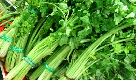 吃芹菜減肥美容 盤(pán)點(diǎn)芹菜的藥用功效