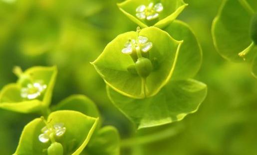 多給他一點尊重他會更愛你!