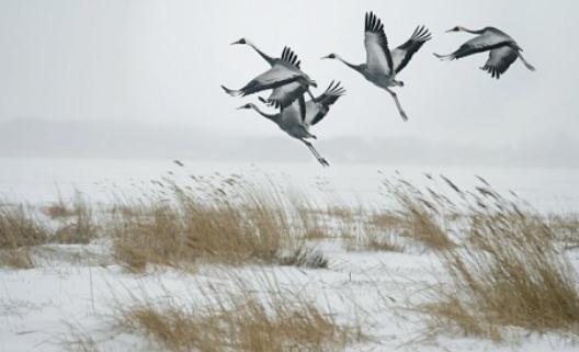 女人一生要談多少場戀愛才好?