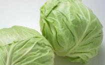 冬季重視飲食補養 如何進補？