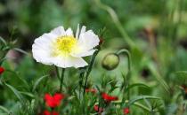 如何走出失戀的痛苦？不用寄喜帖給他