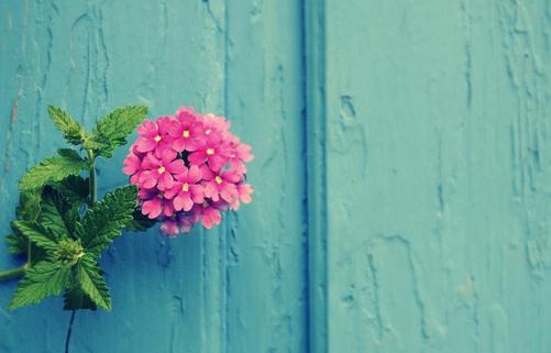 女人應該怎么跨入戀愛之門?