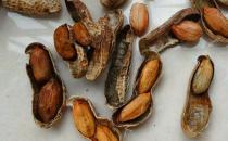 警惕！常吃這兩類食物誘發肝癌