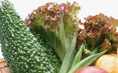 電腦族吃什么食物降火