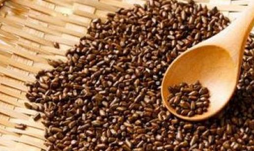 喝決明子有什么好處?決明子的功效