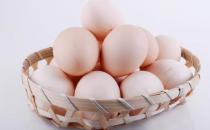 洋雞蛋營(yíng)養(yǎng)也高 雞蛋并非“越土越好”？