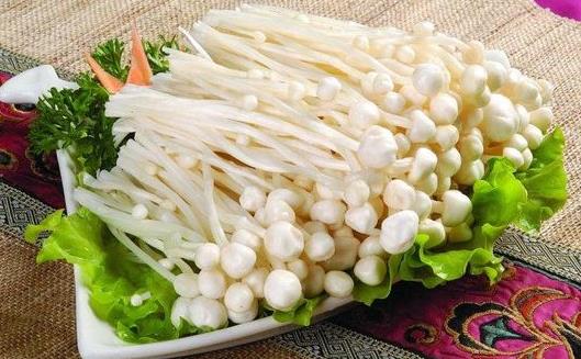 金針菇有什么養(yǎng)生功效?食用金針菇的宜忌