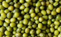 吃什么去濕？盤點(diǎn)10種清熱去濕的食物