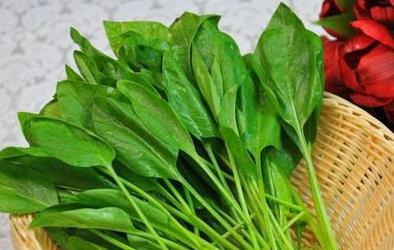 女性春季最養生的食物是什么