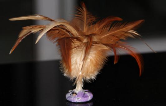 踢毽子有什么好處?踢毽子的技巧