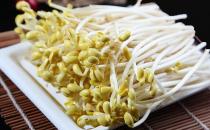 發芽的食物究竟能不能吃？