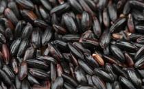 男人腎虛表現(xiàn) 男人補腎食物