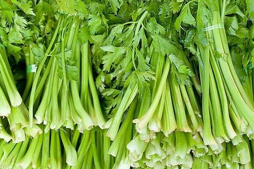 芹菜有哪些藥用功效?吃芹菜可預防動脈硬化