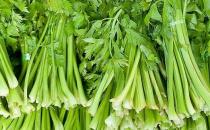 芹菜有哪些藥用功效？吃芹菜可預(yù)防動脈硬化
