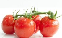 上班族吃哪些食物養生？