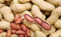 花生能提高智力？盤(pán)點(diǎn)花生的功效