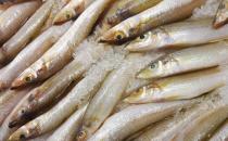 男人吃什么可以壯陽？壯陽補腎的四類食物推薦