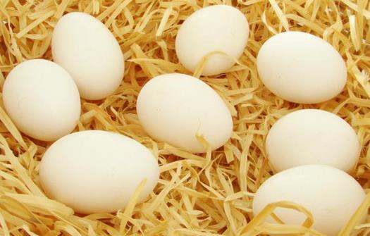 感冒不宜吃哪些食物?感冒患者飲食禁忌