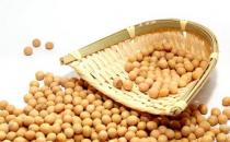 冬季如何進補合適？冬天補脾胃的方法