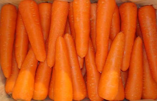 四種蘿卜各有什么營養(yǎng)?紅白蘿卜混吃是禁忌