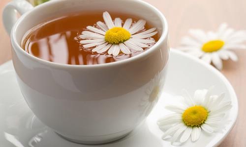 網絡一族養生之菊花寶典