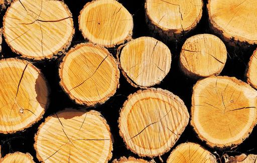 楸木應(yīng)該怎么鑒別?楸木板材的優(yōu)缺點