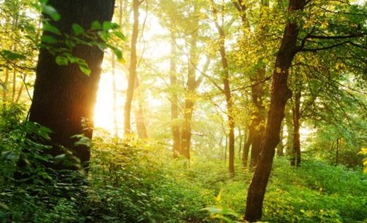 選購(gòu)家用空氣凈化器有什么誤區(qū)?