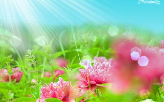 選擇空氣凈化器要看哪些參數?