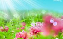 ?選擇空氣凈化器要看哪些參數？