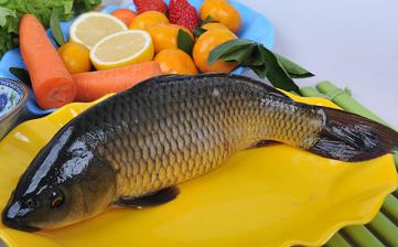 鯉魚_鯉魚的營養價值,功效與作用,鯉魚怎么做好吃,鯉魚的做法大全