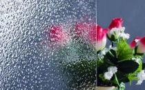壓花玻璃的選購(gòu)技巧-壓花玻璃的簡(jiǎn)介